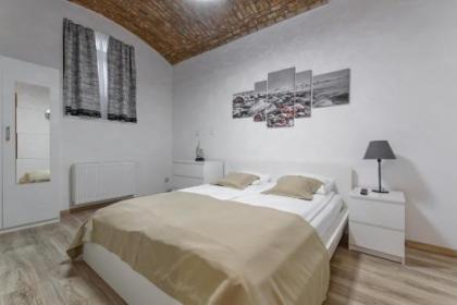 Residence Dobrovskeho 30 - image 2